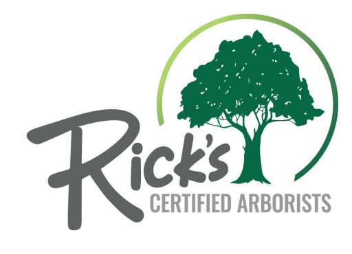 Rick's Certified Arborists Featured in February 2026 Issue of Tree Care Industry Magazine