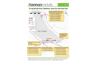 Hannan Metals Ltd., Tuesday, March 9, 2021, Press release picture