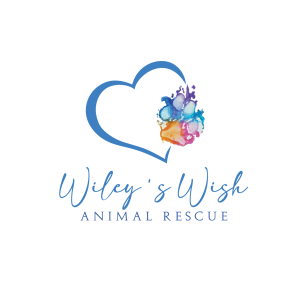 Wiley's Wish Animal Rescue