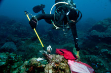 Photo Credit: G.P. Schmal NOAA