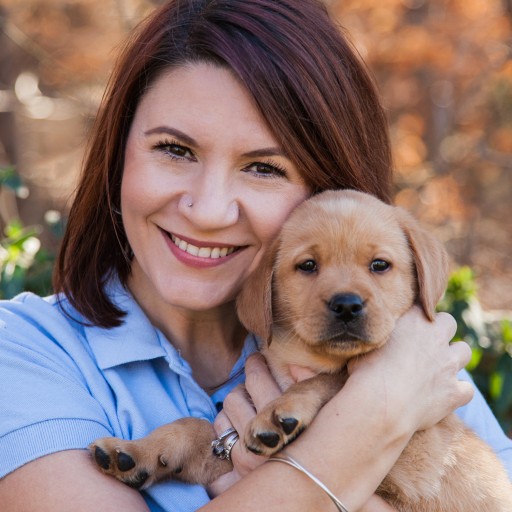 Service Dog Leader Makes Change to Help More Veterans/children with Special Needs