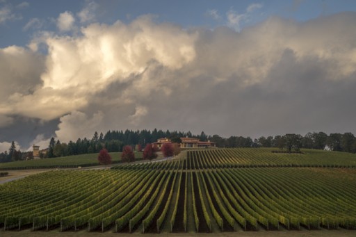 Domaine Serene Poised for Rebound After COVID-19 Closure