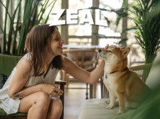 ZEAL Pet Food Reviews 2025