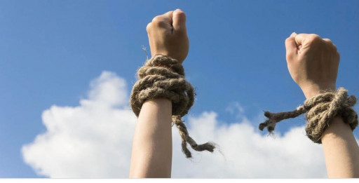 Borderflight Wants to Airdrop Lifesaving Items to Those Who Are Lost or Abandoned. Join Their Raffle for a 2021 Dodge Charger to Help Contribute to a Worthy Cause.