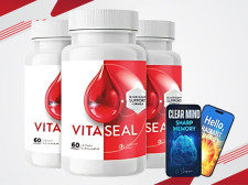 VitaSeal Blood Sugar Support Supplement 2025