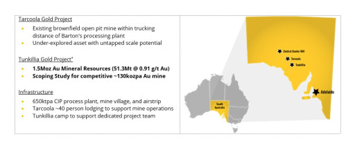 New Assays Confirm High Grade Silver in Tolmer Gold System