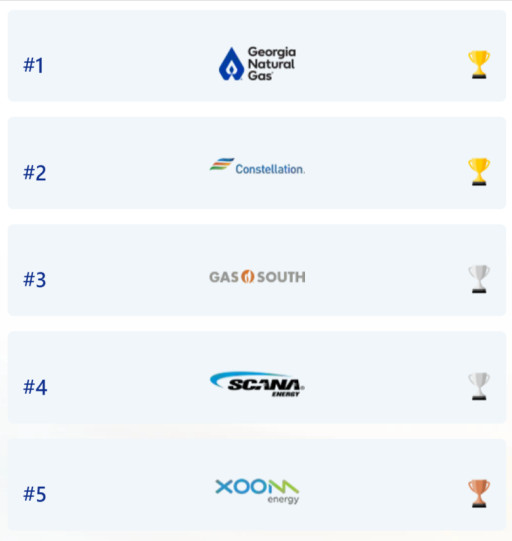GeorgiaGasSavings.com Announces 2025 Best Natural Gas Providers in Georgia
