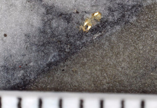 Mawson Gold Limited, Tuesday, May 16, 2023, Press release picture