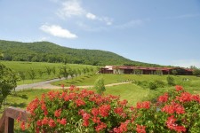 Eupepsia Wellness Resort 