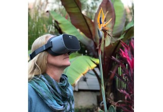 Individual outside view