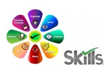 The Skills® for Autism curriculum