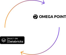 Omega Point Databricks