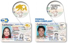California IDs