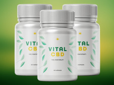 Vital CBD 2025 Review