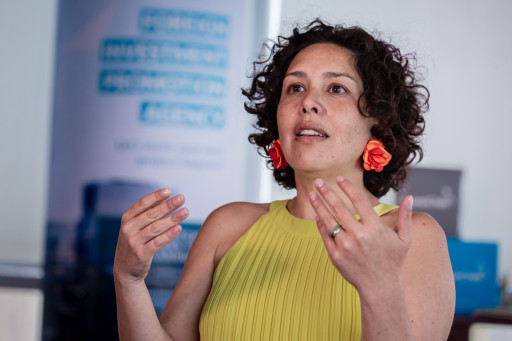 In 2022, Chile Was the Third Largest Recipient of Foreign Direct Investment in Latin America