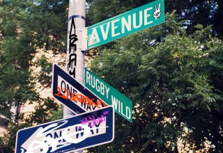 "Avenue" - "Rugby Wild"