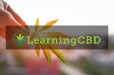How Long Does It Take for CBD Oil to Work?