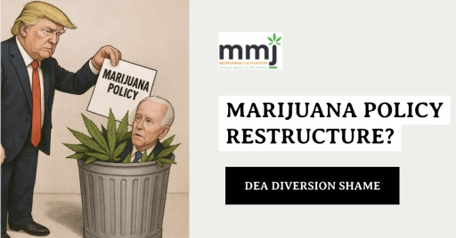 President Trump Expected to Remove Cannabis Barriers to MMJ Research and Drug Development