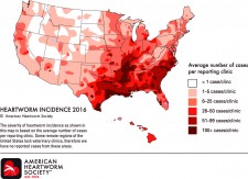 American Heartworm Society Heartworm Incidence Map