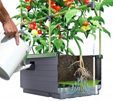 City Jungle Planter from BioGreen