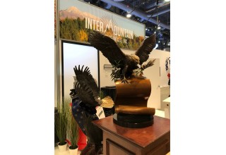 The American Patriot