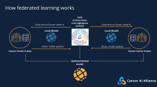 Federated learning graphic