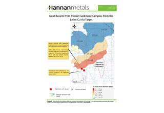 Hannan Metals Ltd., Wednesday, January 27, 2021, Press release picture