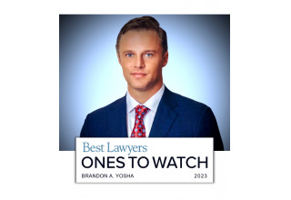 Best Lawyers in America