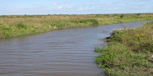 The Double Bayou Watershed Partnership Announces Release of Draft Plan for Public Comment