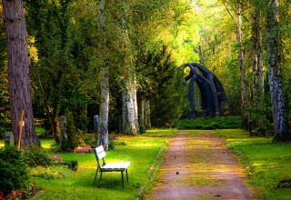 Cemetery Scene with Bench and Trees