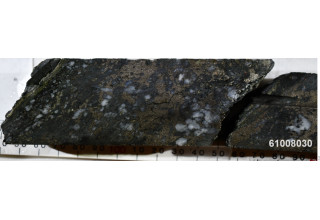 Mawson Gold Limited, Thursday, March 4, 2021, Press release picture