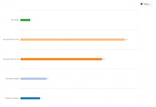 Application Usage Audit Report