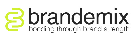 Brandemix Selected to Lead Statewide Mental Health Workforce Initiative for New York State