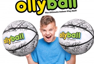 Ollyball. Play Ball in the House.