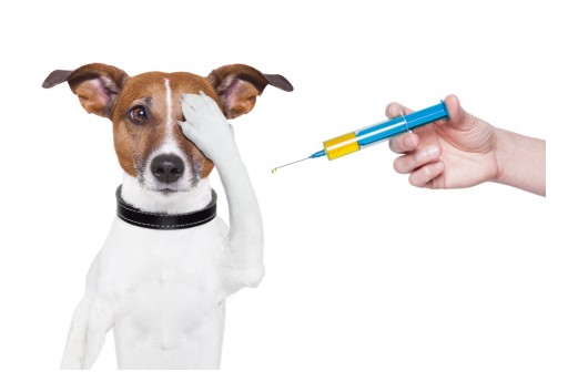 One Medical Vaccine to Rule Them All as Explained by OEM Biomedical Manufacturer Company Ampronix