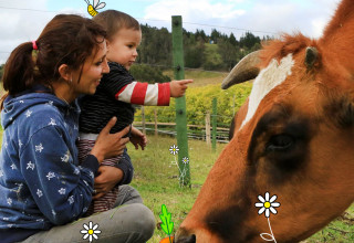 Kindly Social Impact: Feeding Rescued Animals