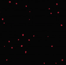 Heartbleed - Kristina Libby