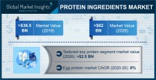 Protein Ingredients Industry Forecasts 2020-2026 