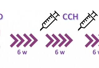 penile traction device and collagenase