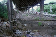 Photo by Steve Spacek