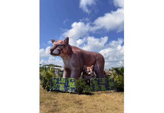 Credit to Johanna Pryor