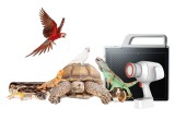 Wireless Battery Powered Equine and Avian Digital X-Ray System