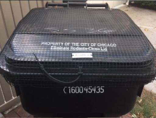 Local Inventor Solves Chicago Neighborhood Rodent Problems