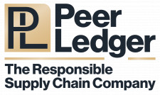 Peer Ledger Logo