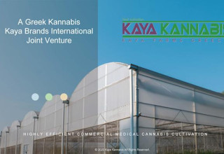 Kaya Holdings, Tuesday, October 26, 2021, Press release picture