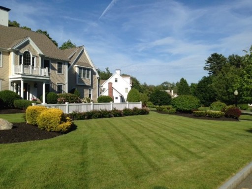 Local South Shore Garden Center Business Keeps Planting During COVID-19