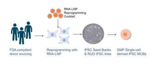 uBriGene Launches Clinical iPSC Banks to Accelerate Regenerative Medicine and Cell Therapy Development