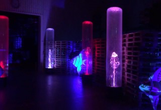 A luminescent multitude of colors