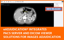 DICOM Viewer Adjudication