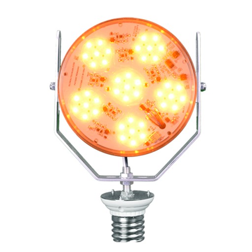 Sea Turtle Season Is Here - Global Tech LED Has Turtle-Safe LED Lighting Retrofits